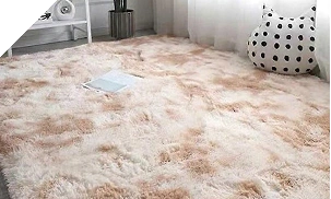 Plush Carpets