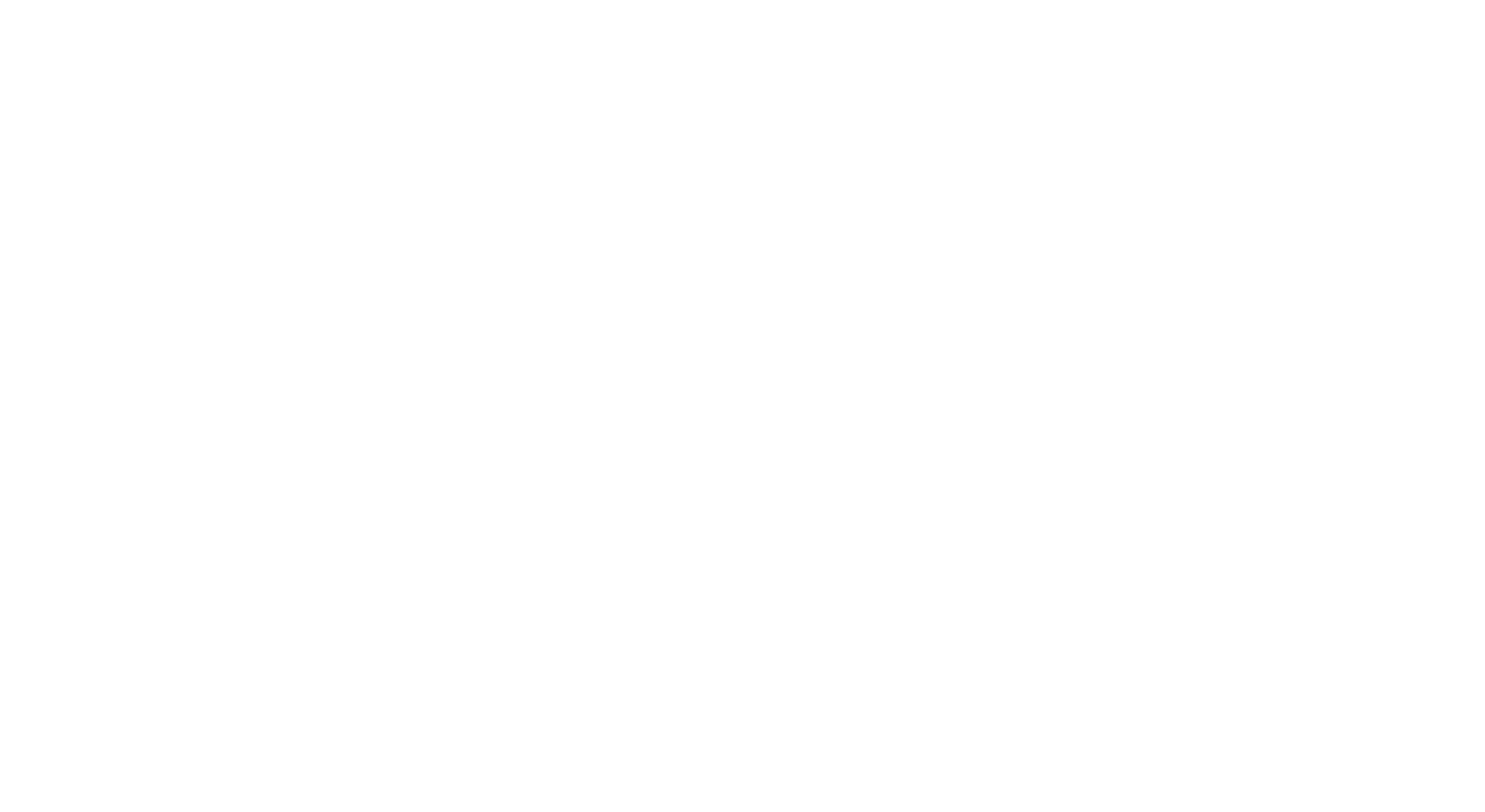 Professional Team